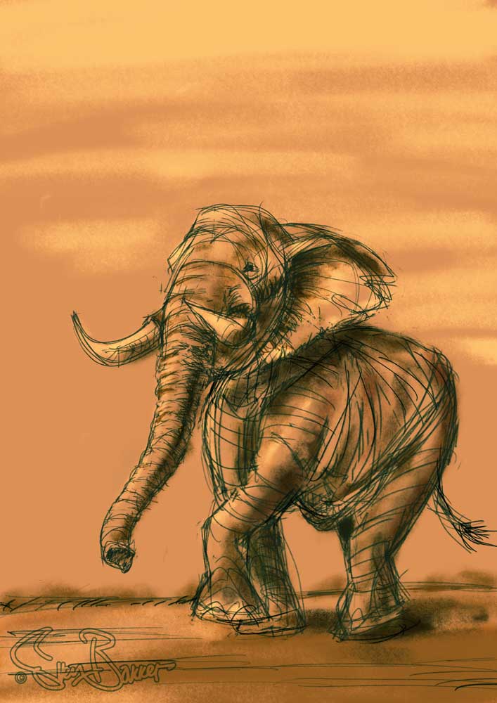 Elephant drawing/sketch.  Digital - Wacom/Procreate (Sven Bakker)