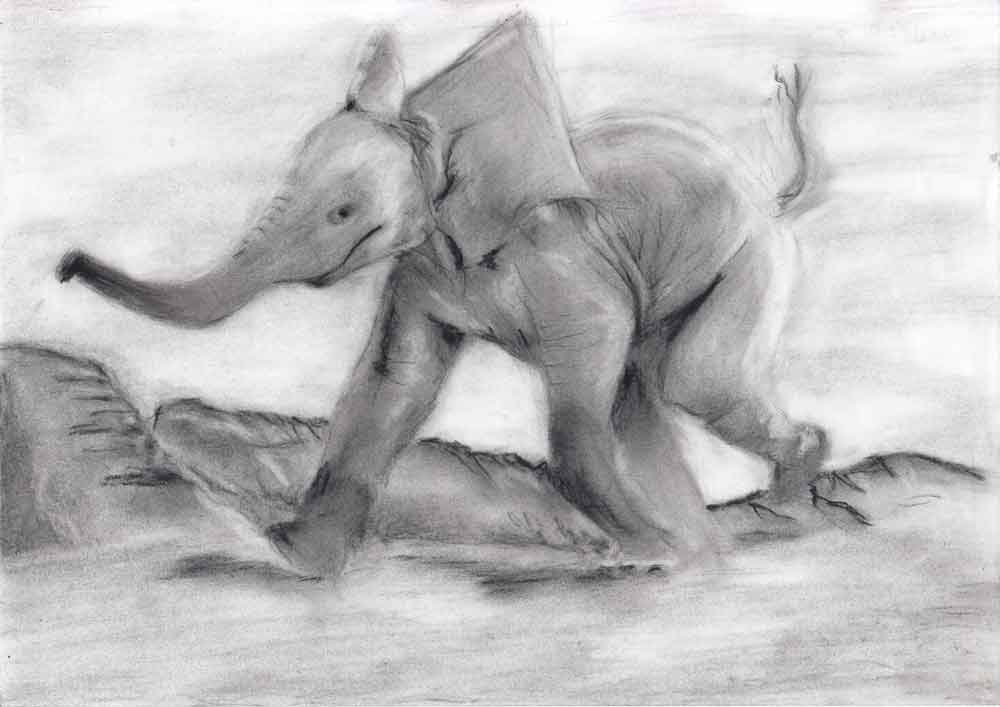 Baby elephant drawing. Graphite on standard paper 5 gr (21x29,7cm) (svenimal.art)