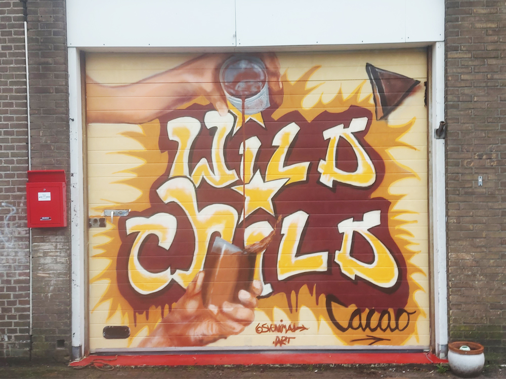Wild Child Cacao graffiti streetart mural commission based on “Wild Style” @ Amsterdam Noord (2023) (svenimal.art)