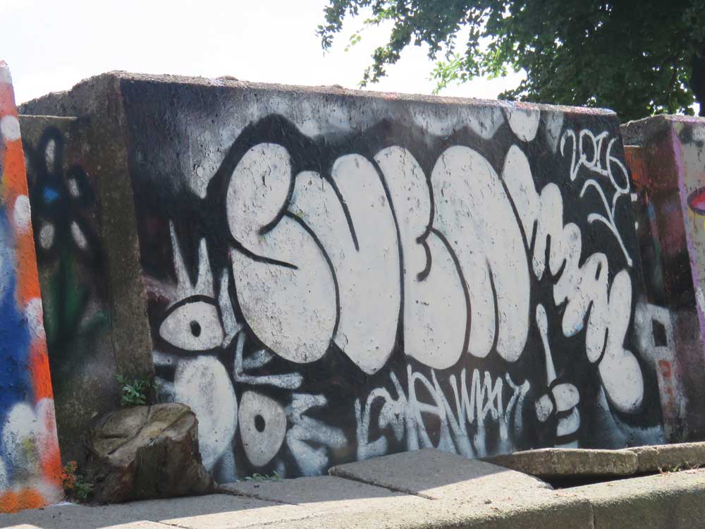 Early Svenimal throwup @ Step In The Arena, Berenkuil, Eindhoven (2016) (svenimal.art)