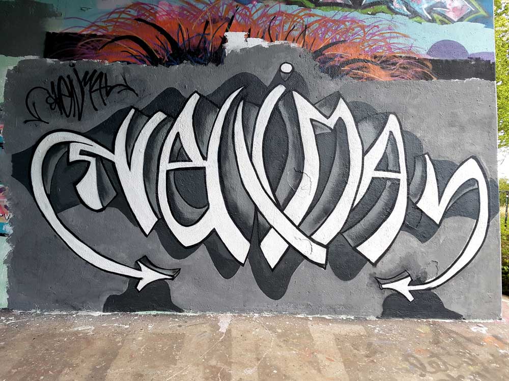 Svenimal graffiti streetartm piece @ Flevopark, Amsterdam (2017) (svenimal.art)