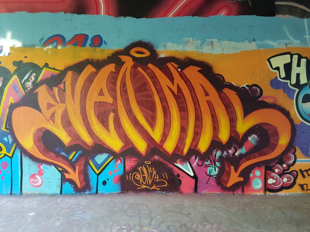 Svenimal piece graffiti @ Flevopark, Amsterdam