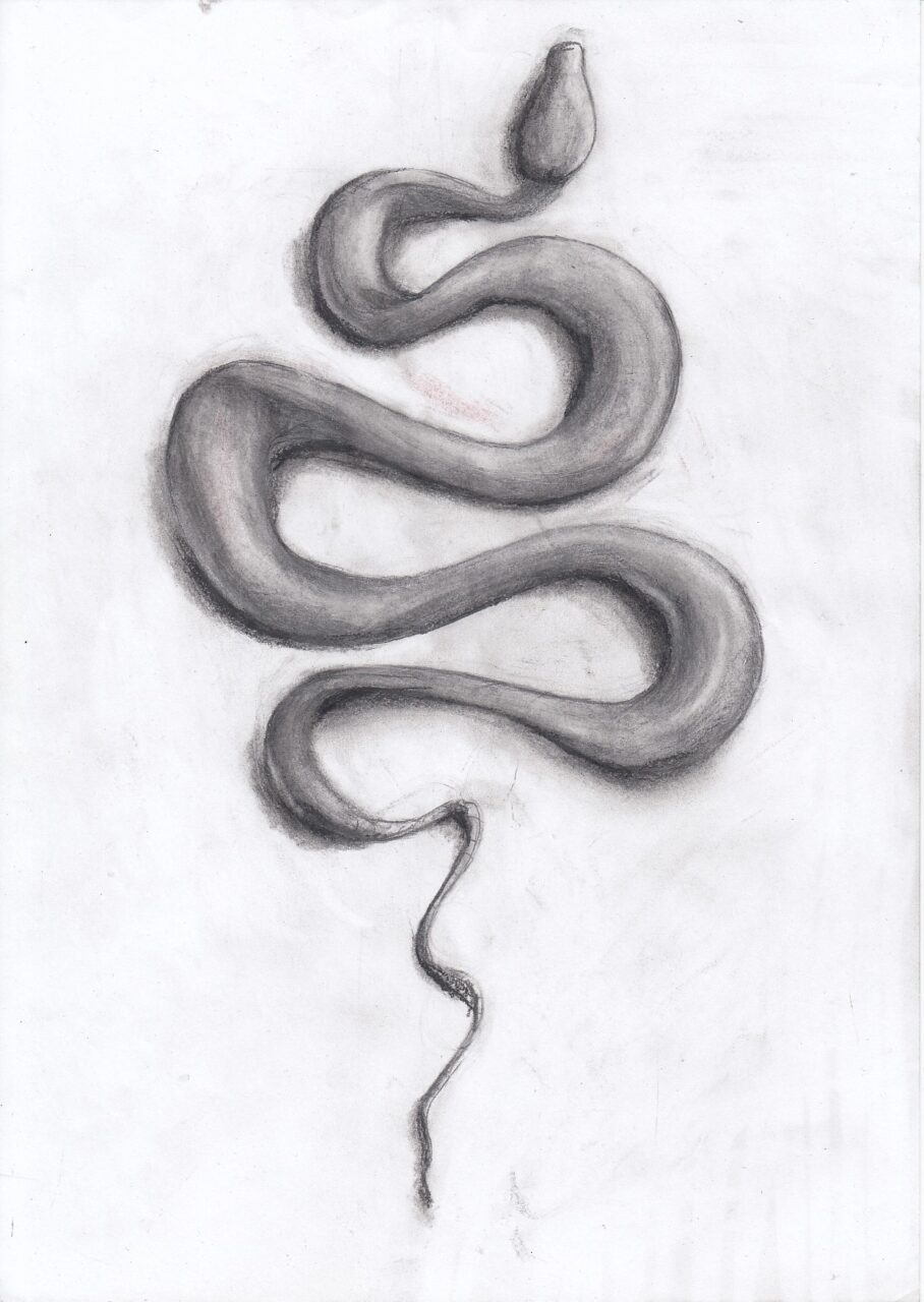 Snake drawing. Study for light/shadow. Graphite on standard paper 5 gr paper (21x29,7cm) (2018) (svenimal.art)