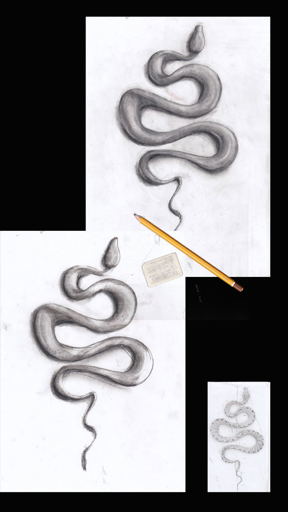 Snake drawing. Study for light/shadow. Graphite on standard paper 5 gr paper (21x29,7cm) (2018) (svenimal.art)